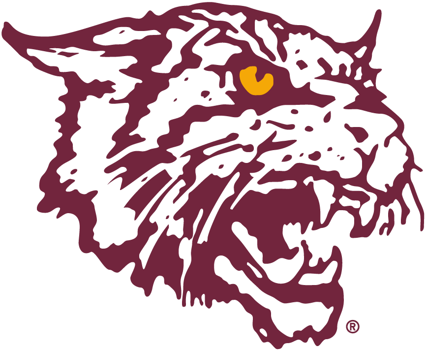 Bethune-Cookman Wildcats 2000-2015 Alternate Logo v2 diy iron on heat transfer